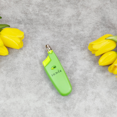 Запальничка газова Ignis W309 салатова